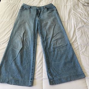 Everlane- Wide Leg Jean